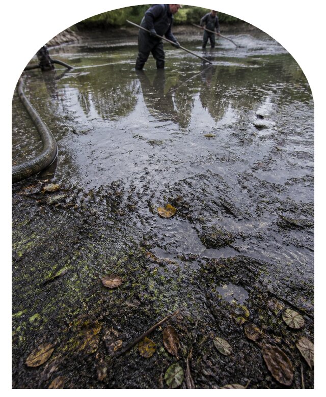 Очистка пруда в Городце от ила мусора и водорослей с вывозом